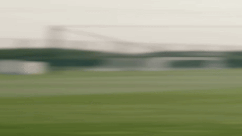Camera transitions for this sentence