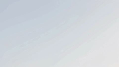Camera transitions for this sentence