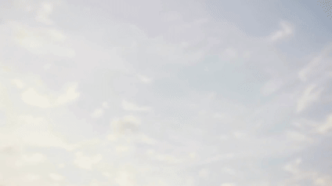 Camera transitions for this sentence
