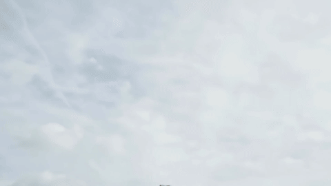 Camera transitions for this sentence
