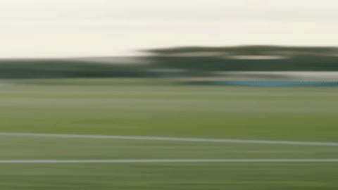 Camera transitions for this sentence